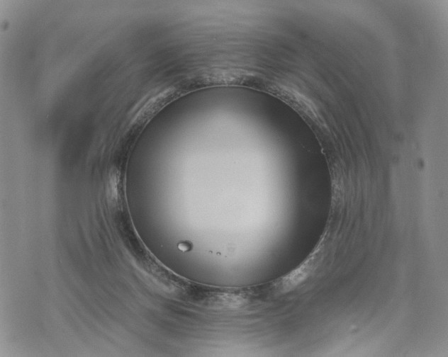 X0000073450166200608111359