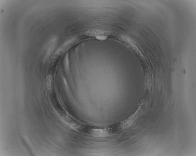 X0000073450167200608111359