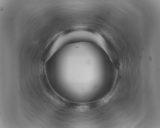 X0000073450168200608111359