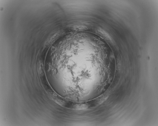 X0000073450169200608111359