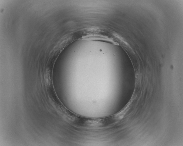 X0000073450170200608111359