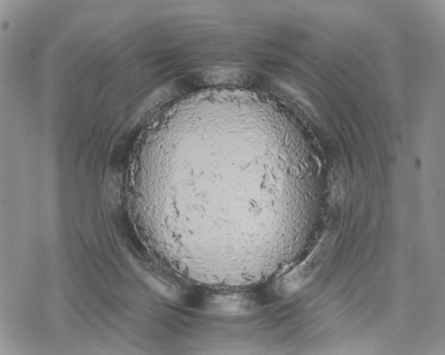 X0000073450171200608111359