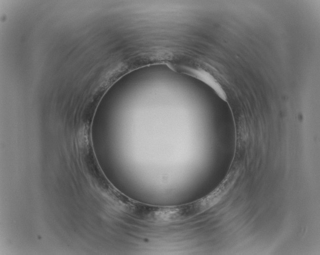 X0000073450172200608111359