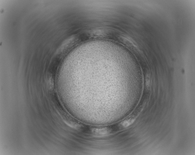 X0000073450173200608111359