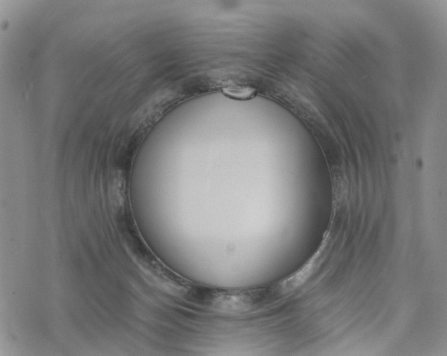 X0000073450174200608111359