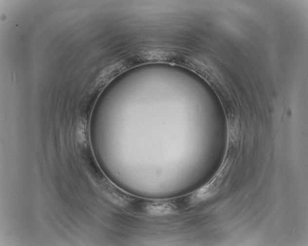 X0000073450175200608111359