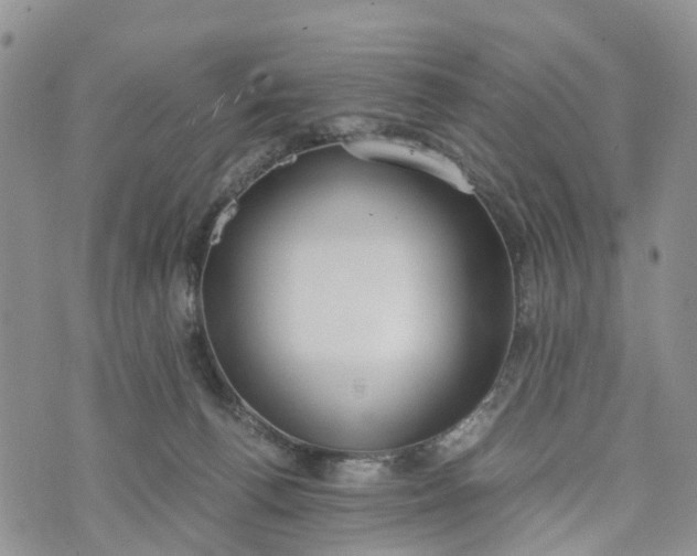 X0000073450176200608111359