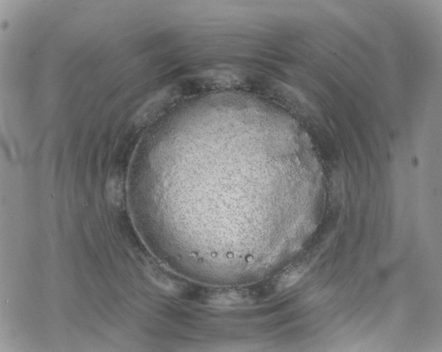 X0000073450177200608111359