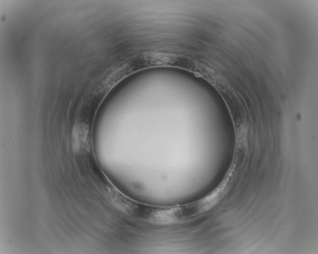 X0000073450178200608111359