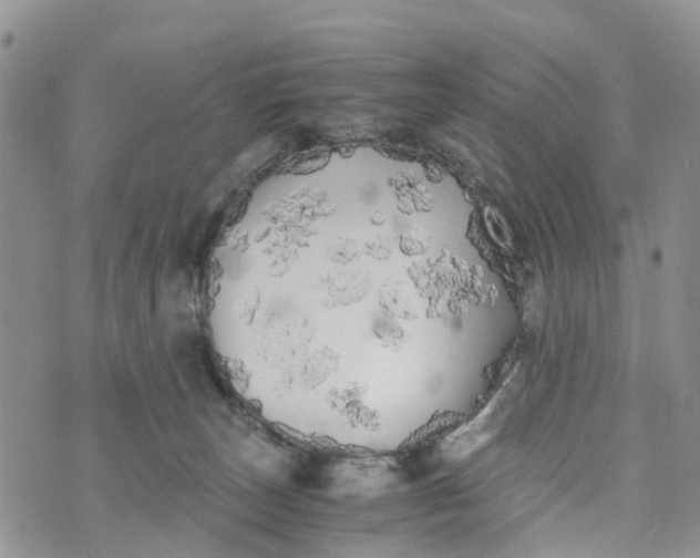 X0000073450179200608111359