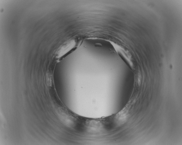 X0000073450180200608111359