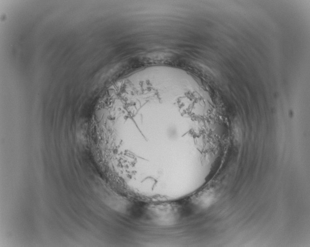 X0000073450181200608111359