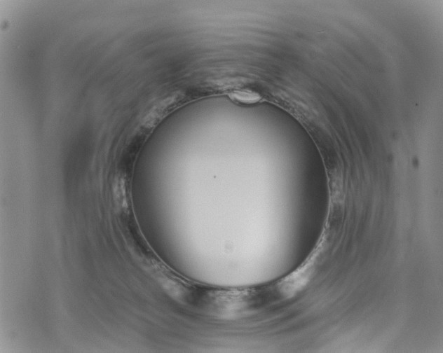 X0000073450182200608111359