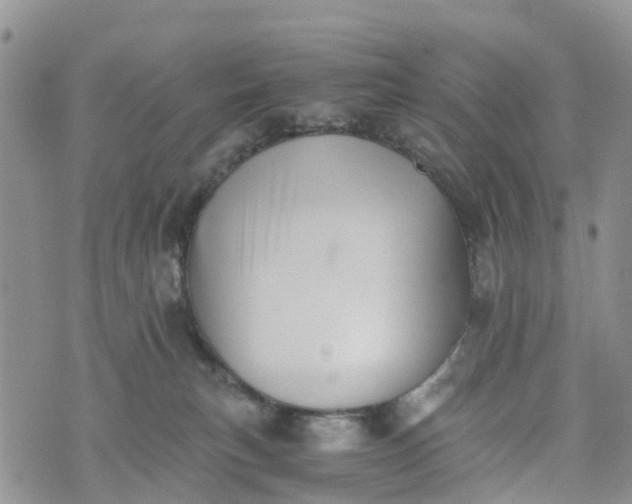 X0000073450183200608111359