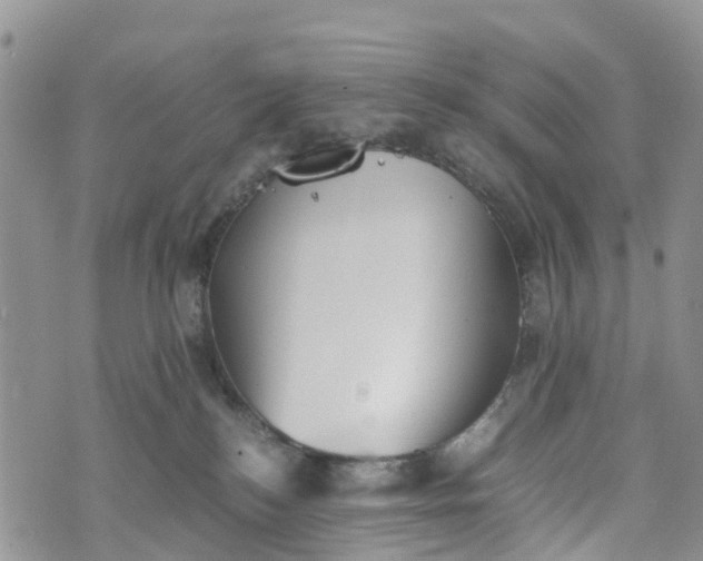 X0000073450184200608111359