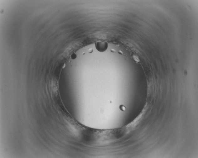 X0000073450186200608111359