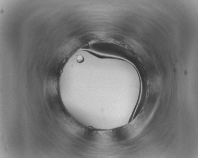 X0000073450188200608111359