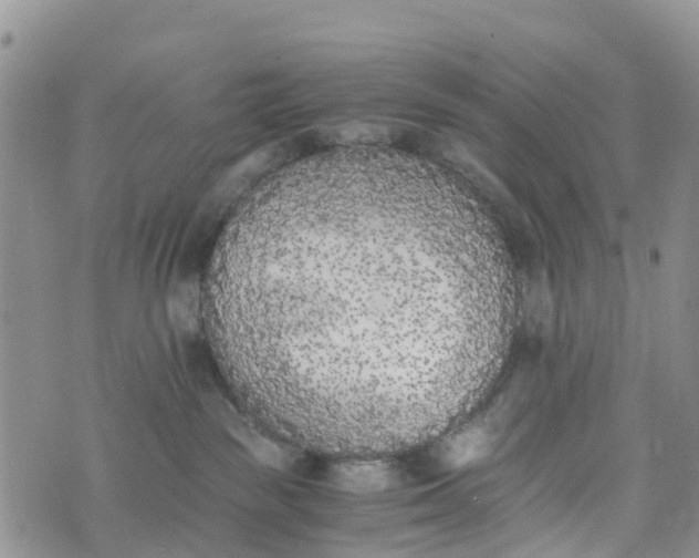 X0000073450189200608111359