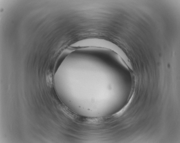 X0000073450190200608111359