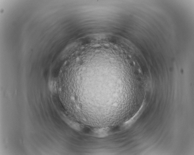 X0000073450191200608111359