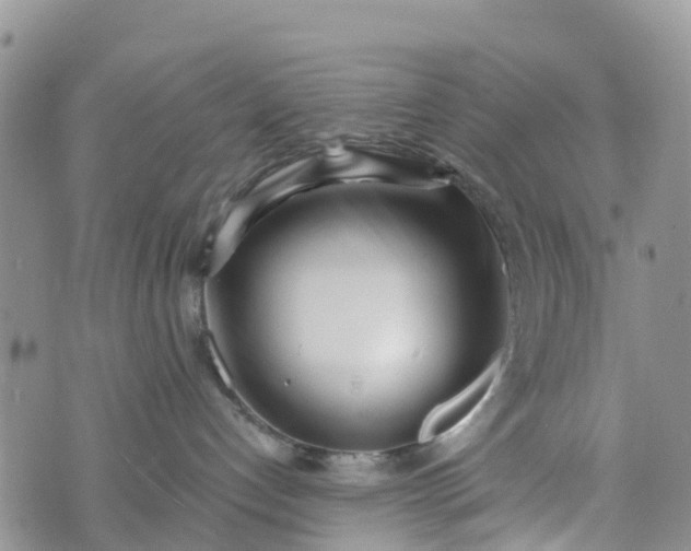 X0000073450192200608111359