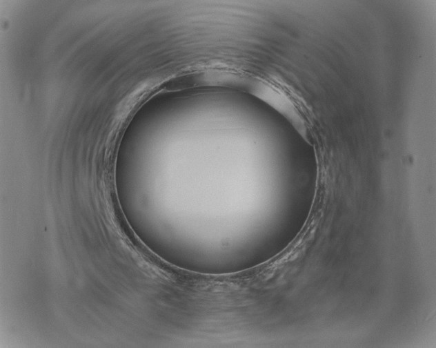 X0000073450193200608111359