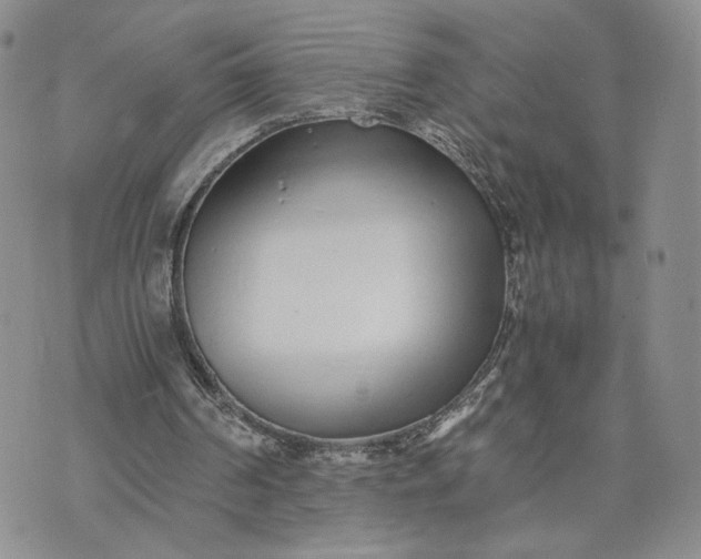 X0000073450194200608111359