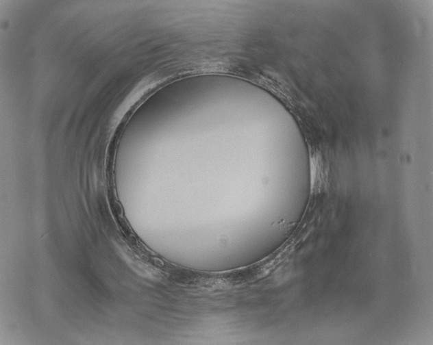 X0000073450195200608111359