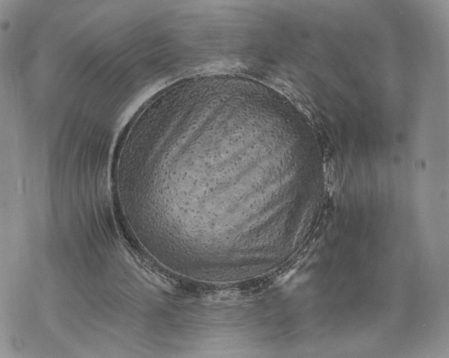 X0000073450196200608111358