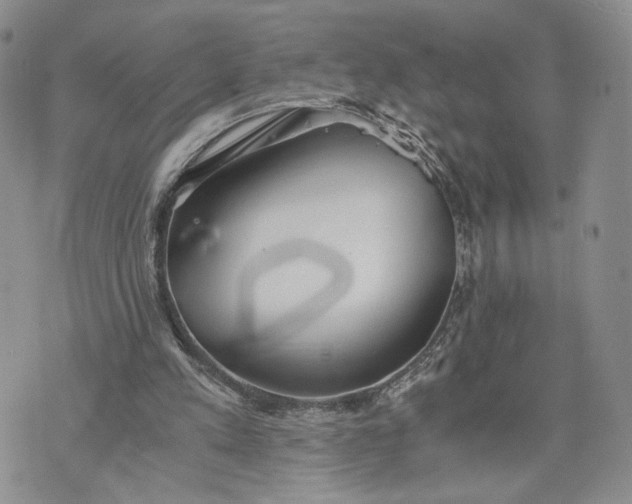 X0000073450197200608111358