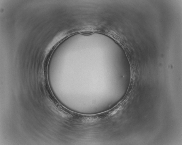 X0000073450198200608111358