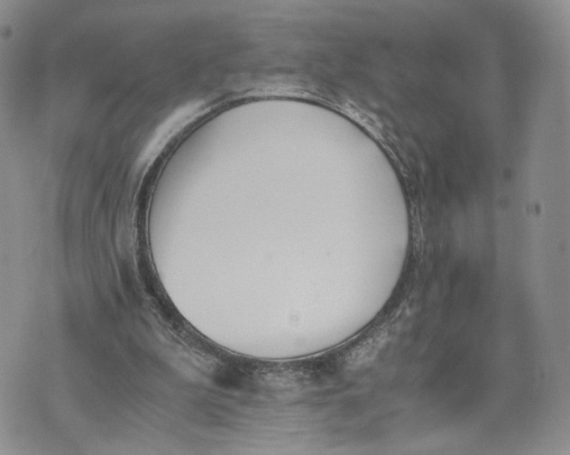 X0000073450199200608111358