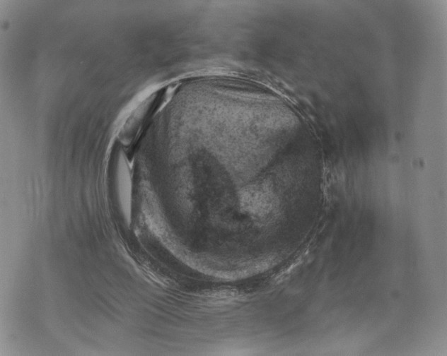 X0000073450200200608111358