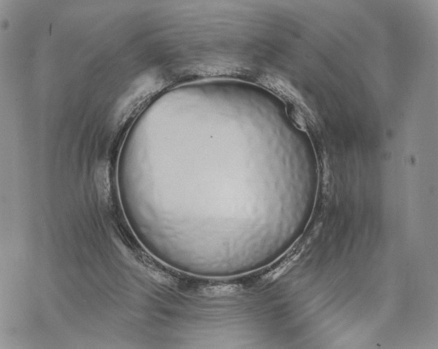 X0000073450202200608111358