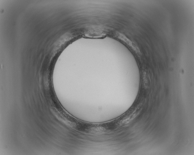 X0000073450203200608111358