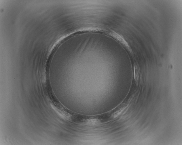 X0000073450204200608111358