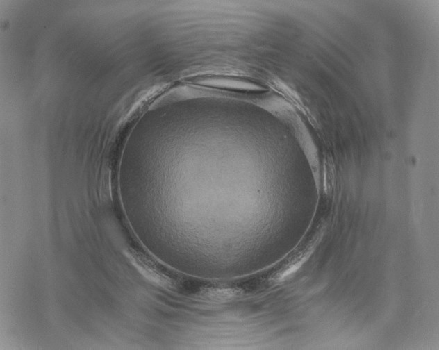 X0000073450205200608111358