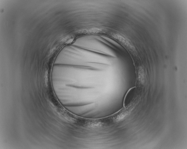 X0000073450206200608111358