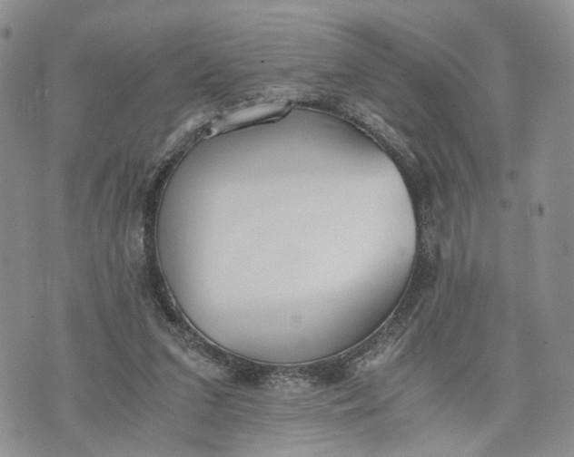 X0000073450207200608111358