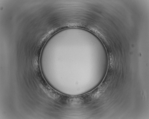 X0000073450208200608111358