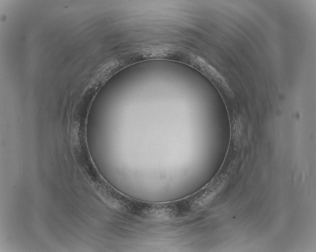 X0000073450209200608111358