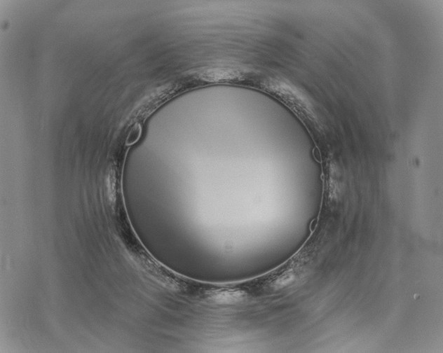 X0000073450210200608111358