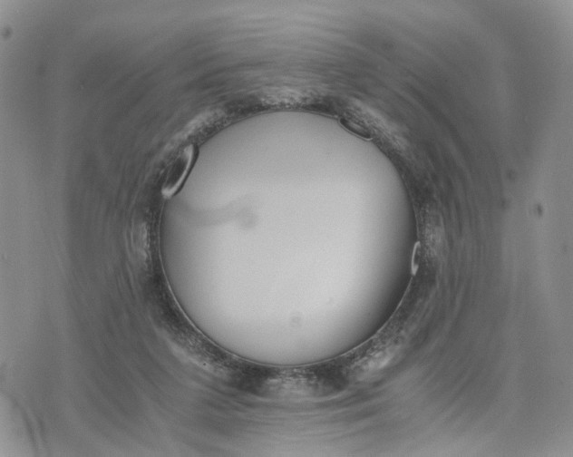 X0000073450211200608111358