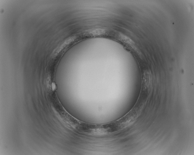 X0000073450212200608111358