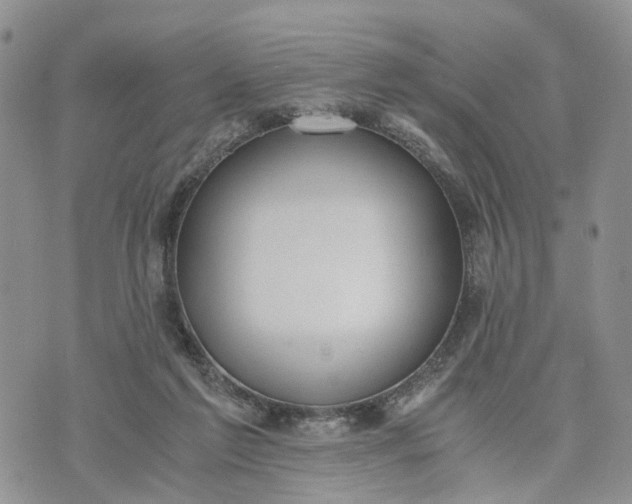 X0000073450213200608111358