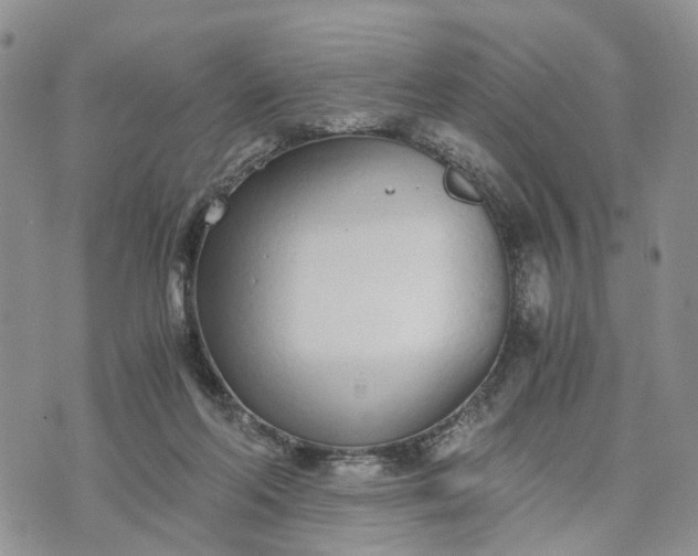 X0000073450214200608111358