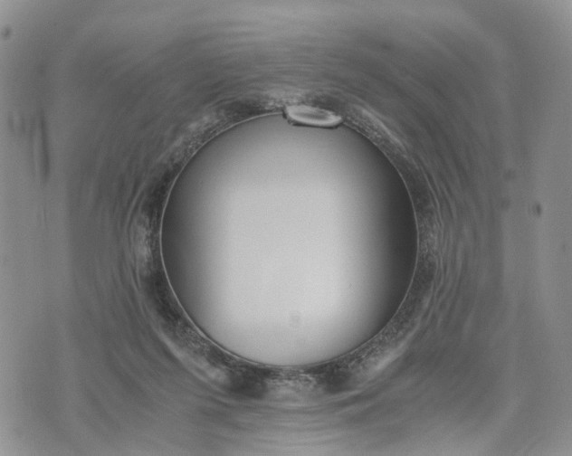 X0000073450215200608111358