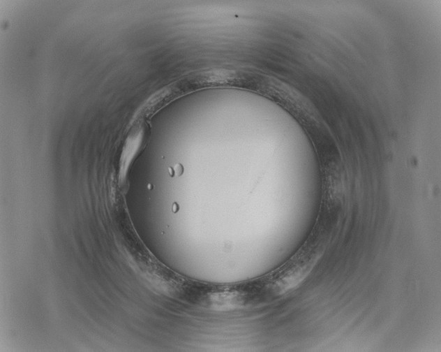 X0000073450216200608111358