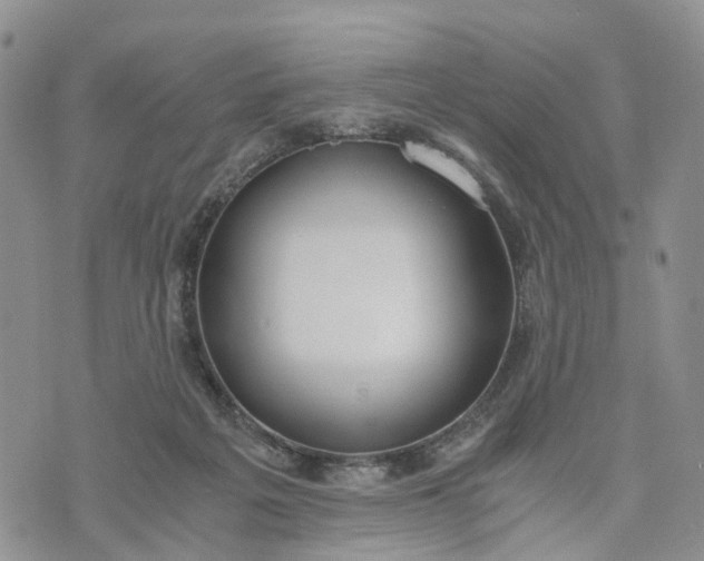 X0000073450217200608111358