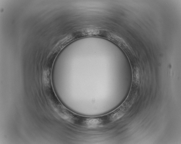 X0000073450218200608111358